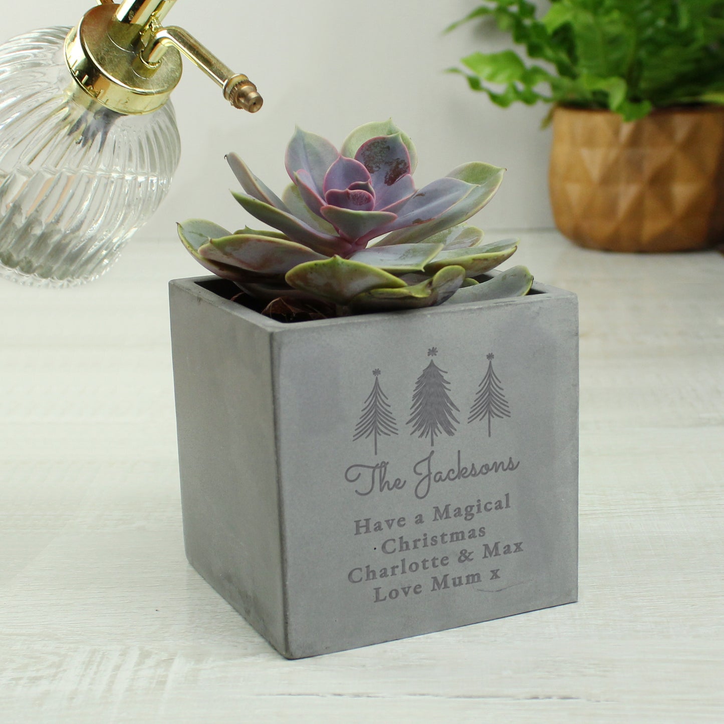 Personalised Christmas Tree Concrete Planter - MK&JD Gifts