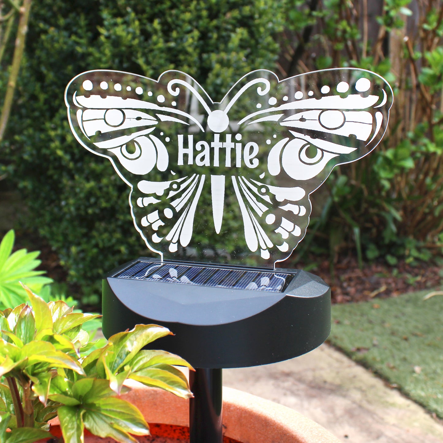Personalised Butterfly Solar Light - MK&JD Gifts