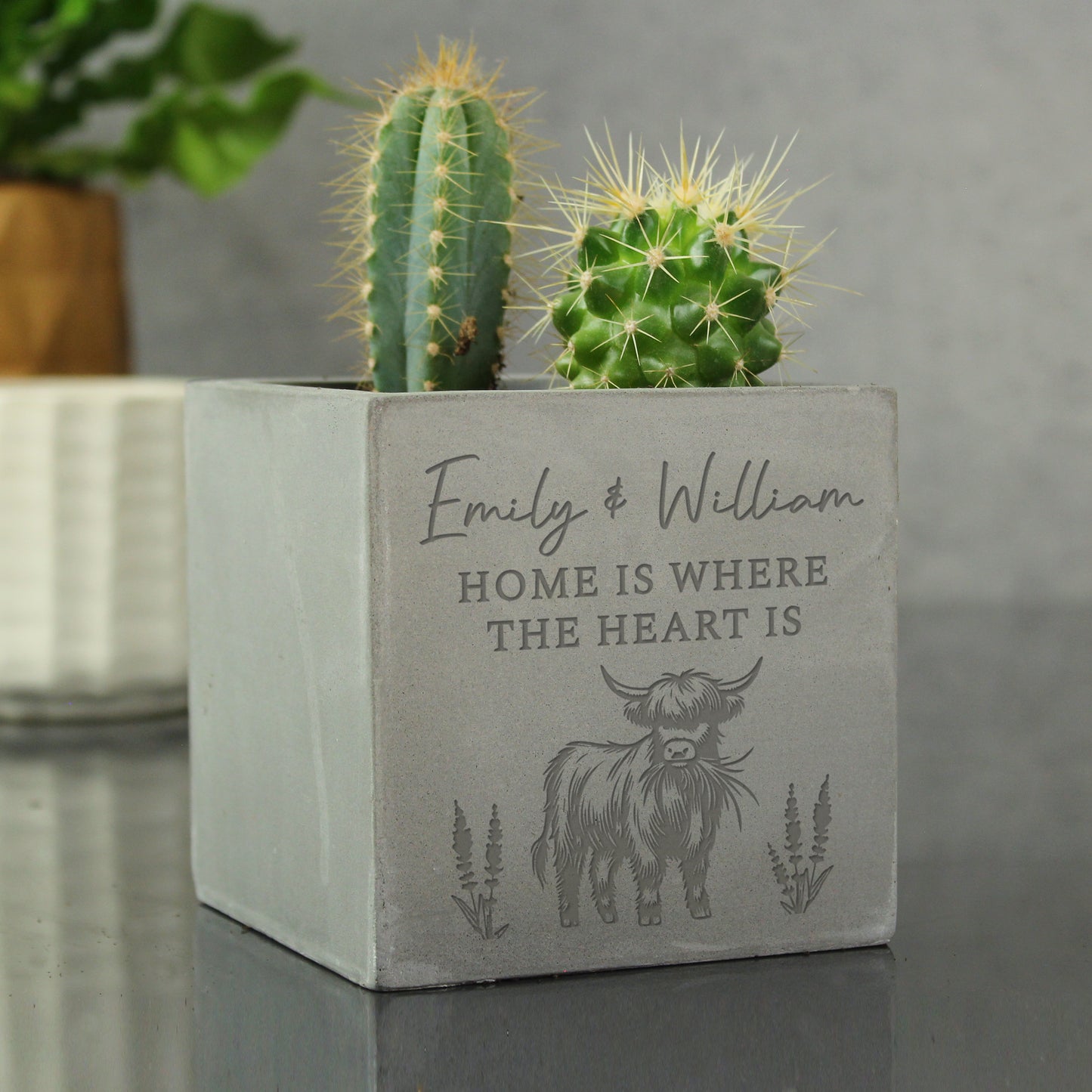 Personalised Highland Cow Concrete Plant Pot - MK&JD Gifts