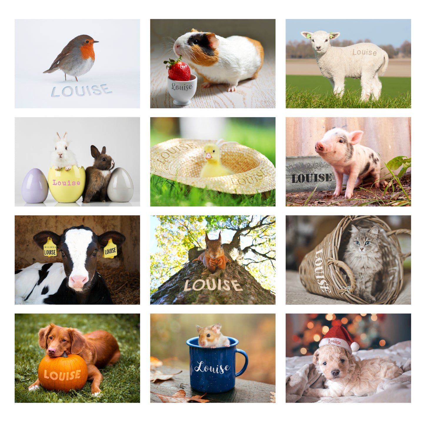 Personalised Cute Animals Desk Calendar - MK&JD Gifts