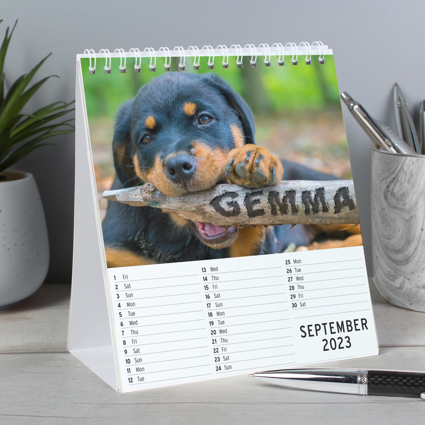 Personalised Barking Mad Dog Desk Calendar - MK&JD Gifts