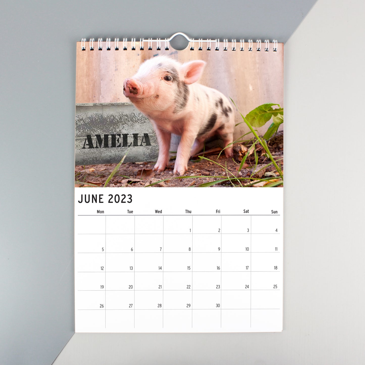 Personalised A4 Cute Animals Calendar - MK&JD Gifts