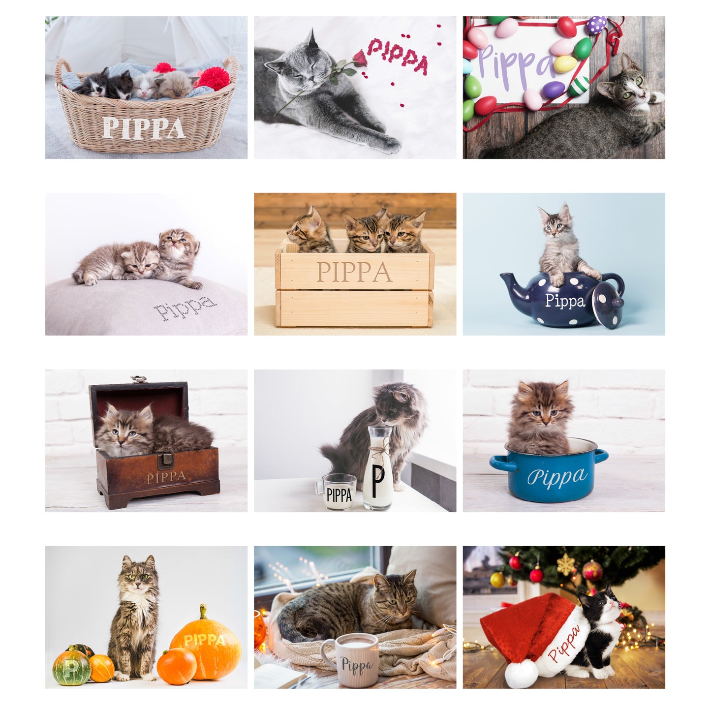 Personalised A4 Cats & Kittens Calendar - MK&JD Gifts