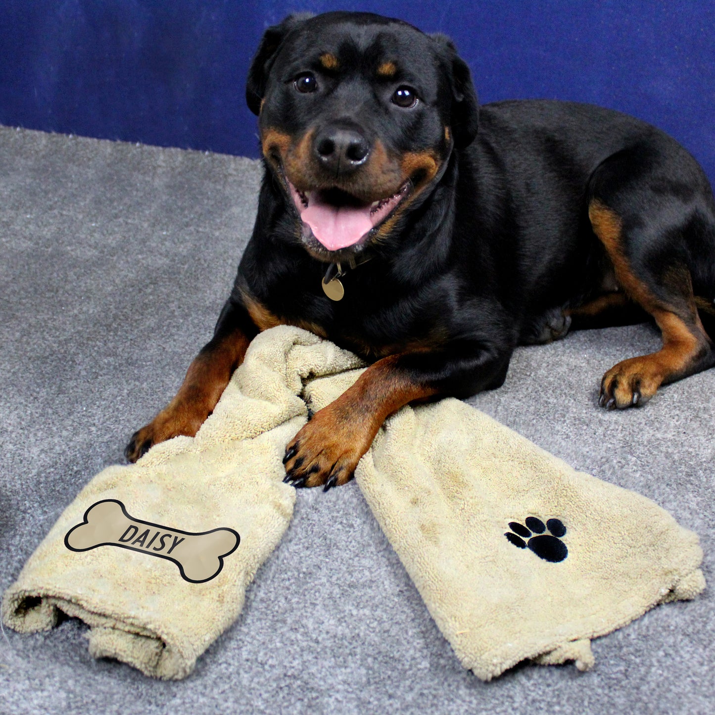 Personalised Bone Brown Microfibre Pet Towel - MK&JD Gifts