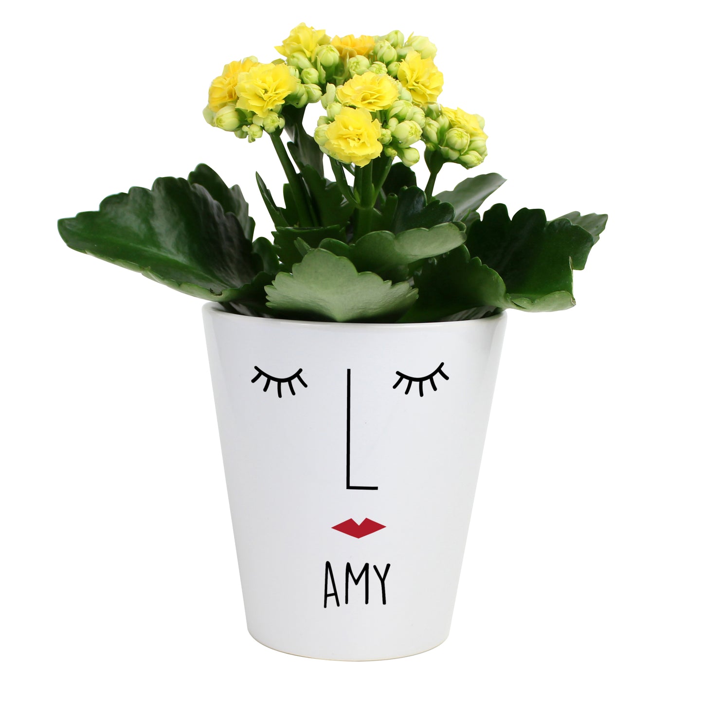 Personalised 'Mrs Face' Plant Pot - MK&JD Gifts