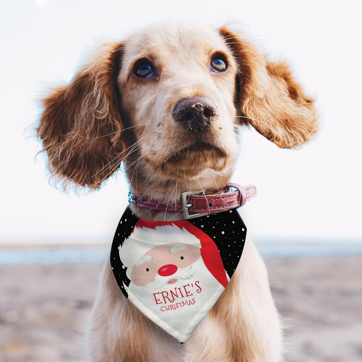 Personalised Santa Dog Bandana - MK&JD Gifts