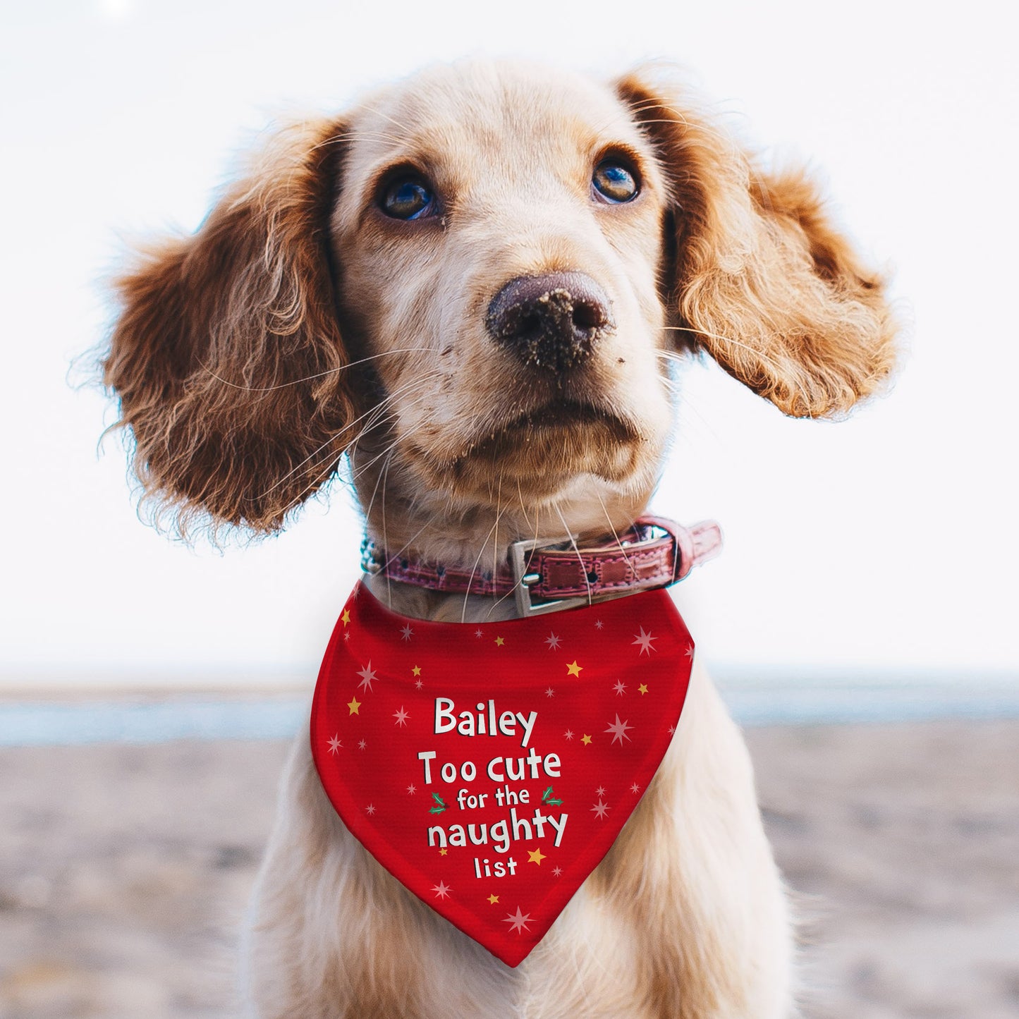 Personalised 'Too cute for the naughty list' Dog Bandana - MK&JD Gifts