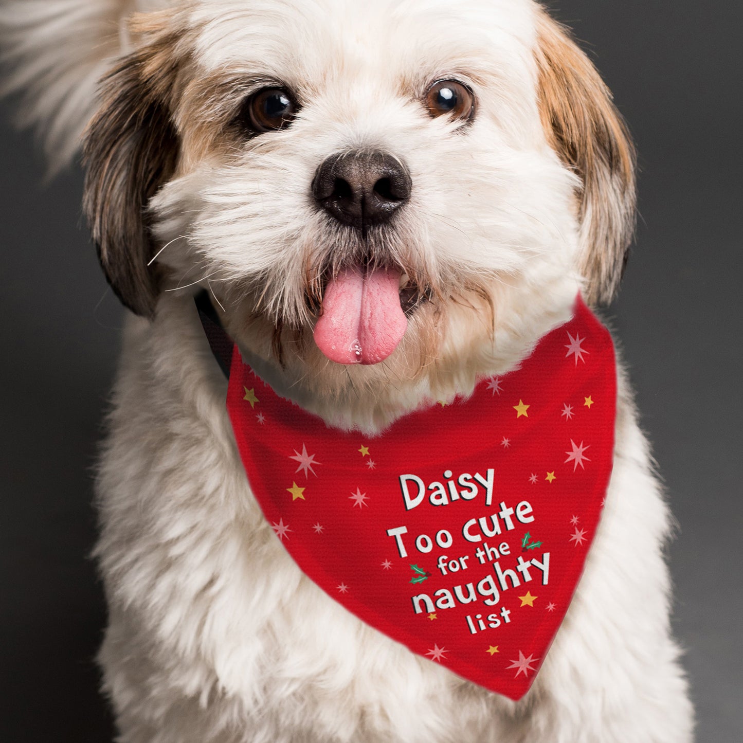 Personalised 'Too cute for the naughty list' Dog Bandana - MK&JD Gifts