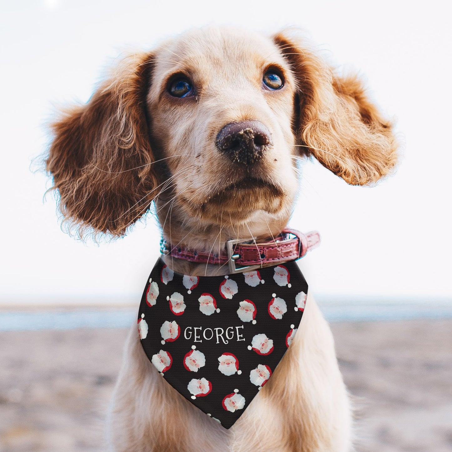 Personalised Santa Black Dog Bandana - MK&JD Gifts