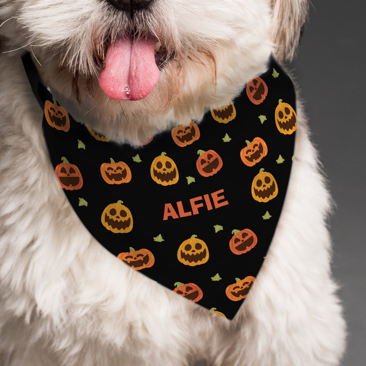 Personalised Pumpkin Patch Dog Bandana - MK&JD Gifts