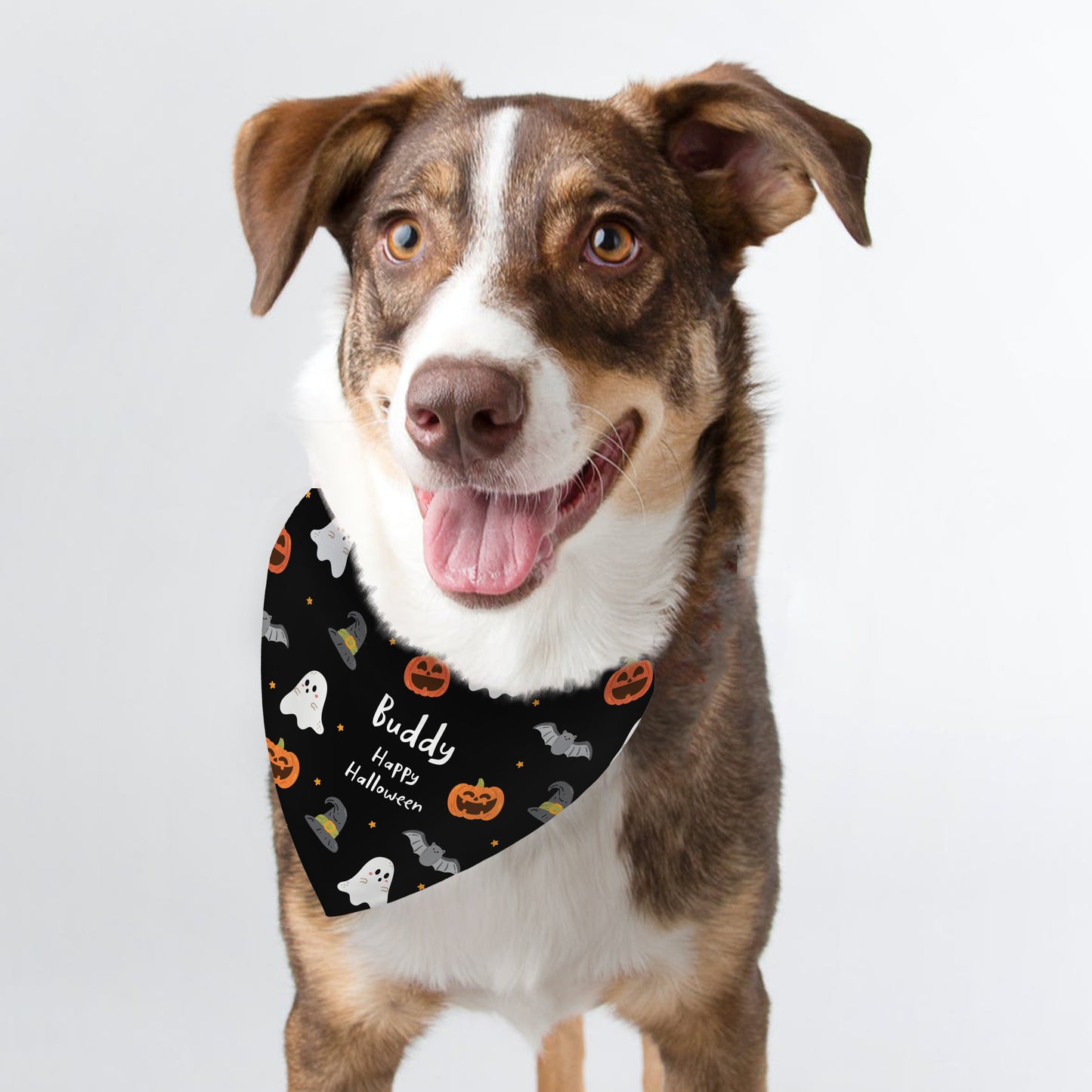 Personalised Halloween Dog Bandana - MK&JD Gifts