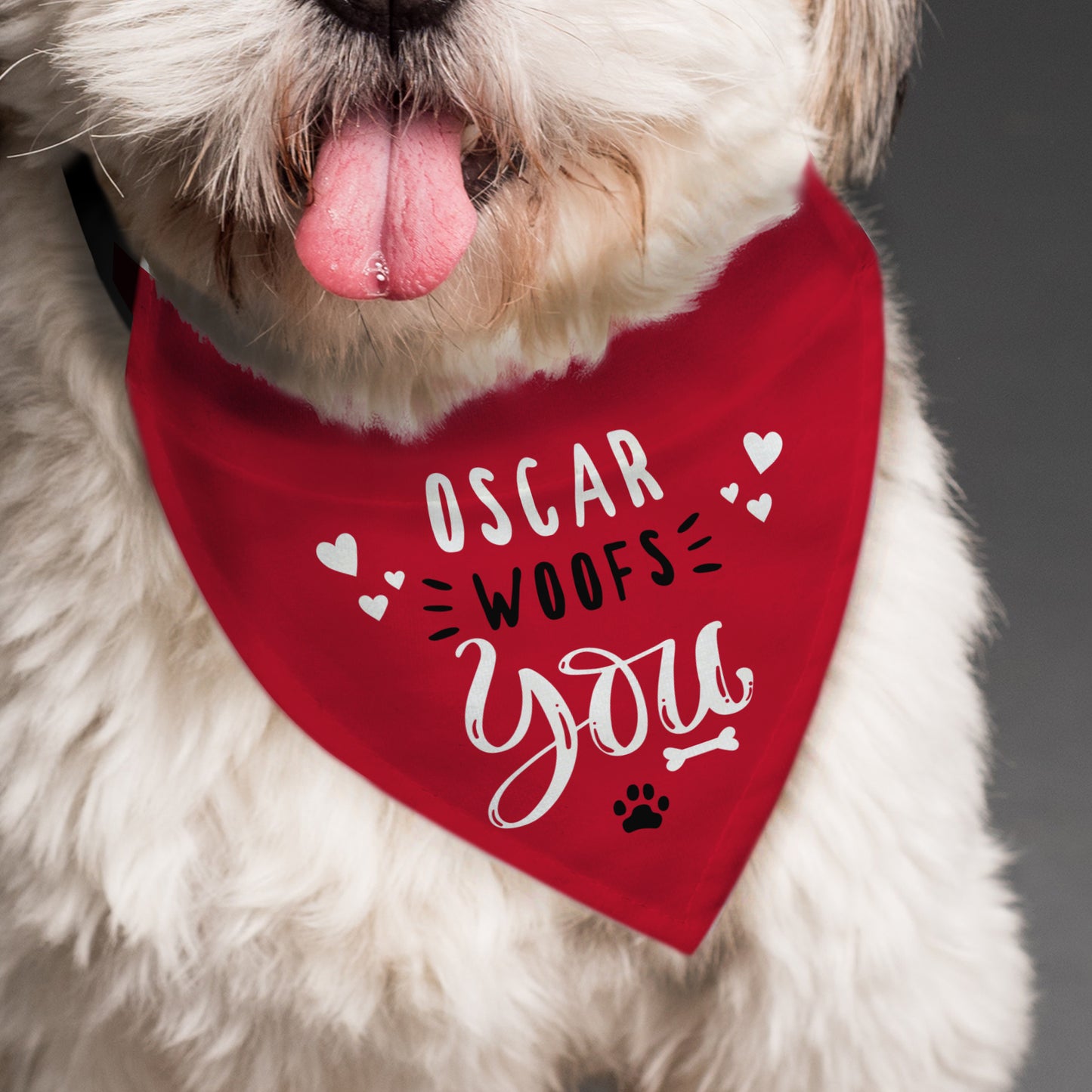 Personalised Woofs You Dog Bandana - MK&JD Gifts