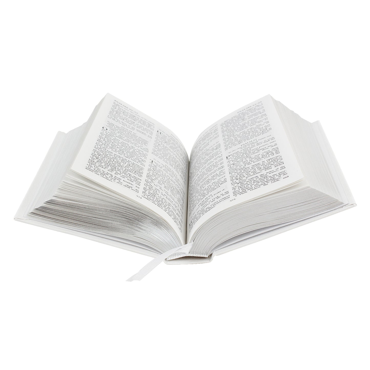 Personalised Noahs Ark Bible - MK&JD Gifts