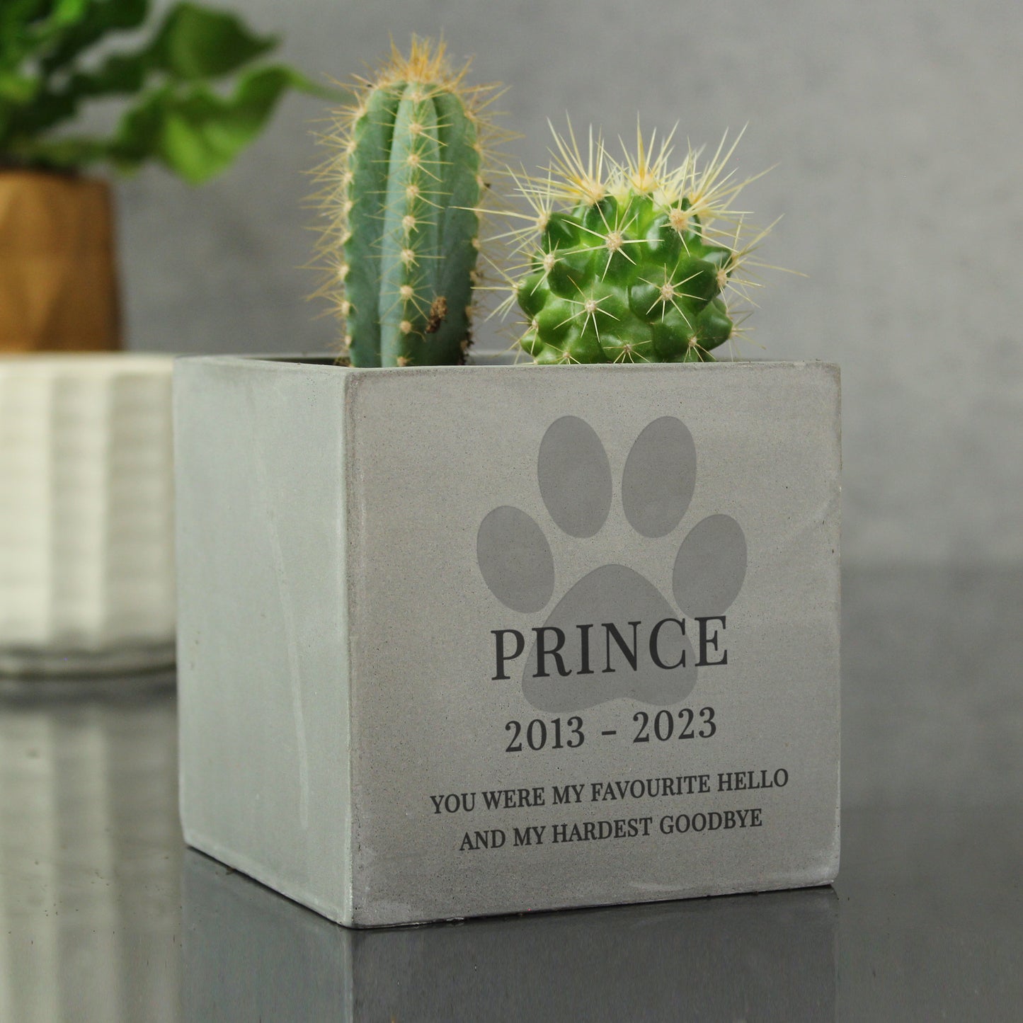 Personalised Pet Memorial Concrete Plant Pot - MK&JD Gifts