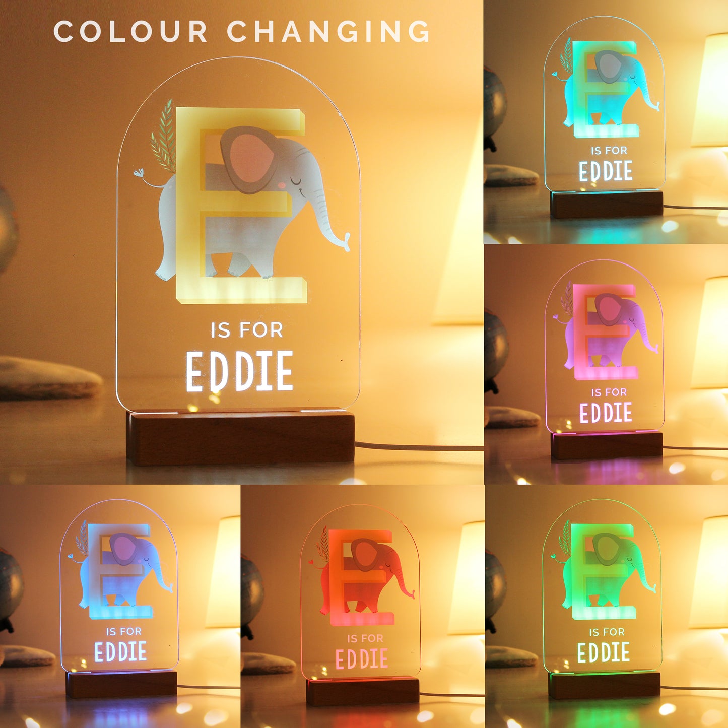 Personalised Animal Alphabet Wooden Based LED Light - MK&JD Gifts