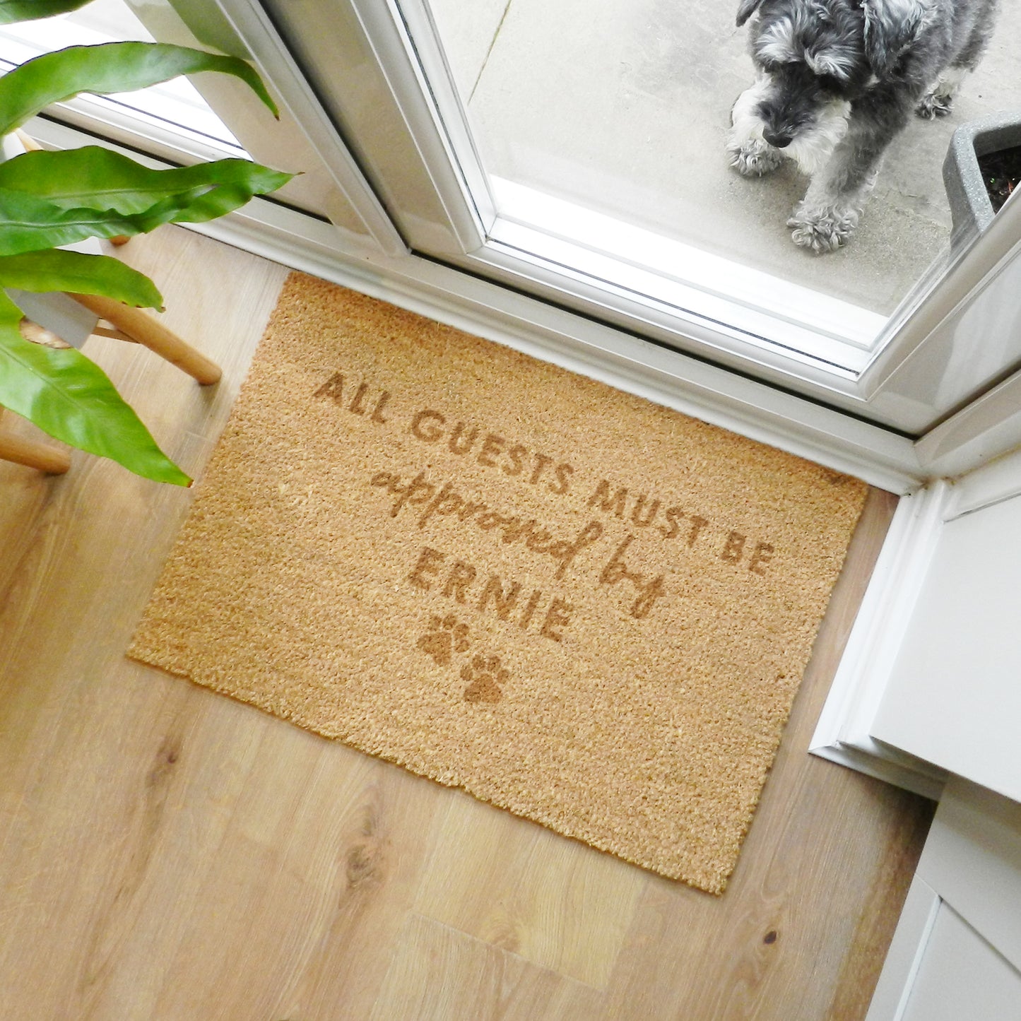 Personalised Approved By The Pet Rectangle Indoor Doormat - MK&JD Gifts