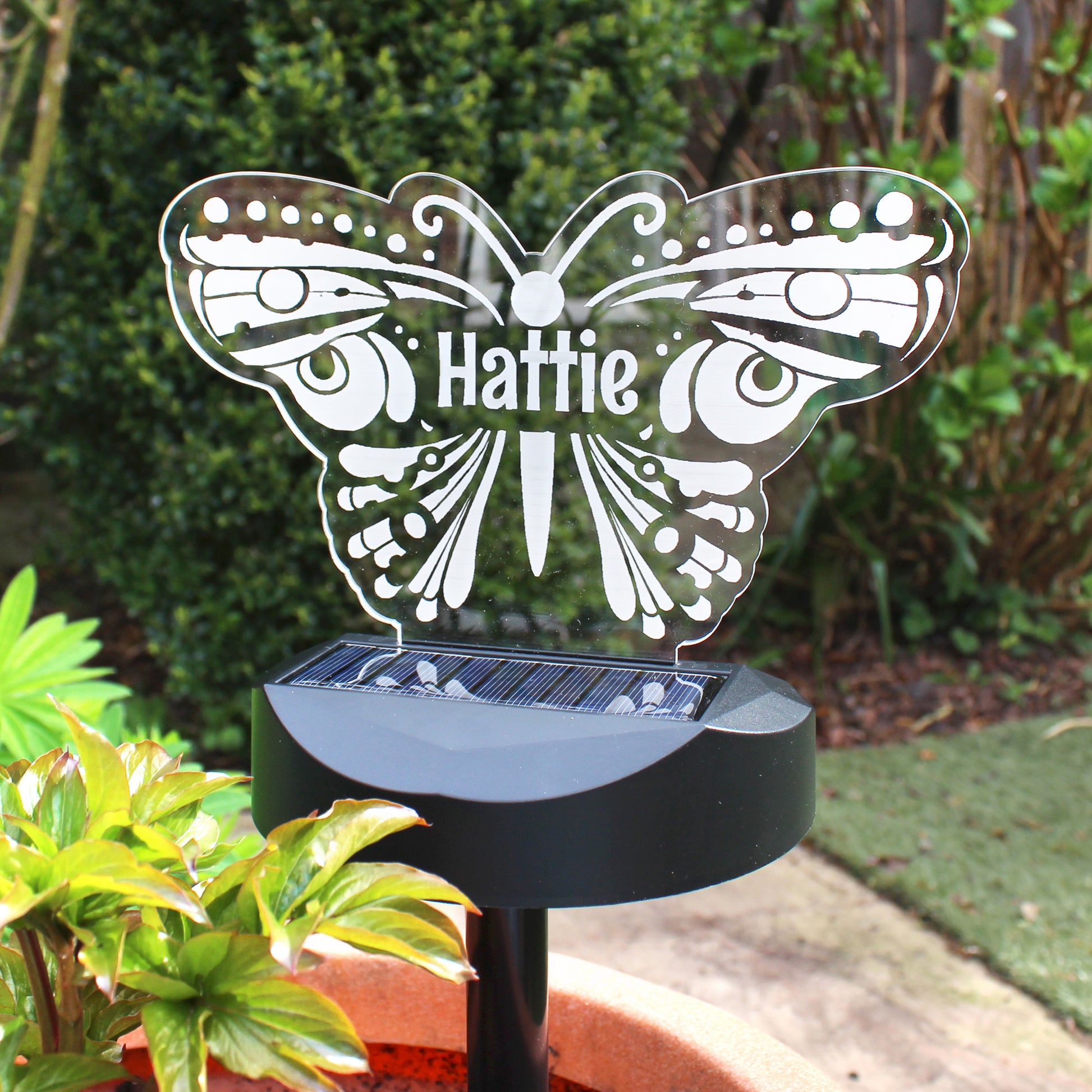 Personalised Butterfly Solar Light - MK&JD Gifts