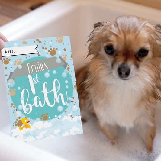 Personalised Puppy Cards: For Milestone Moments - MK&JD Gifts