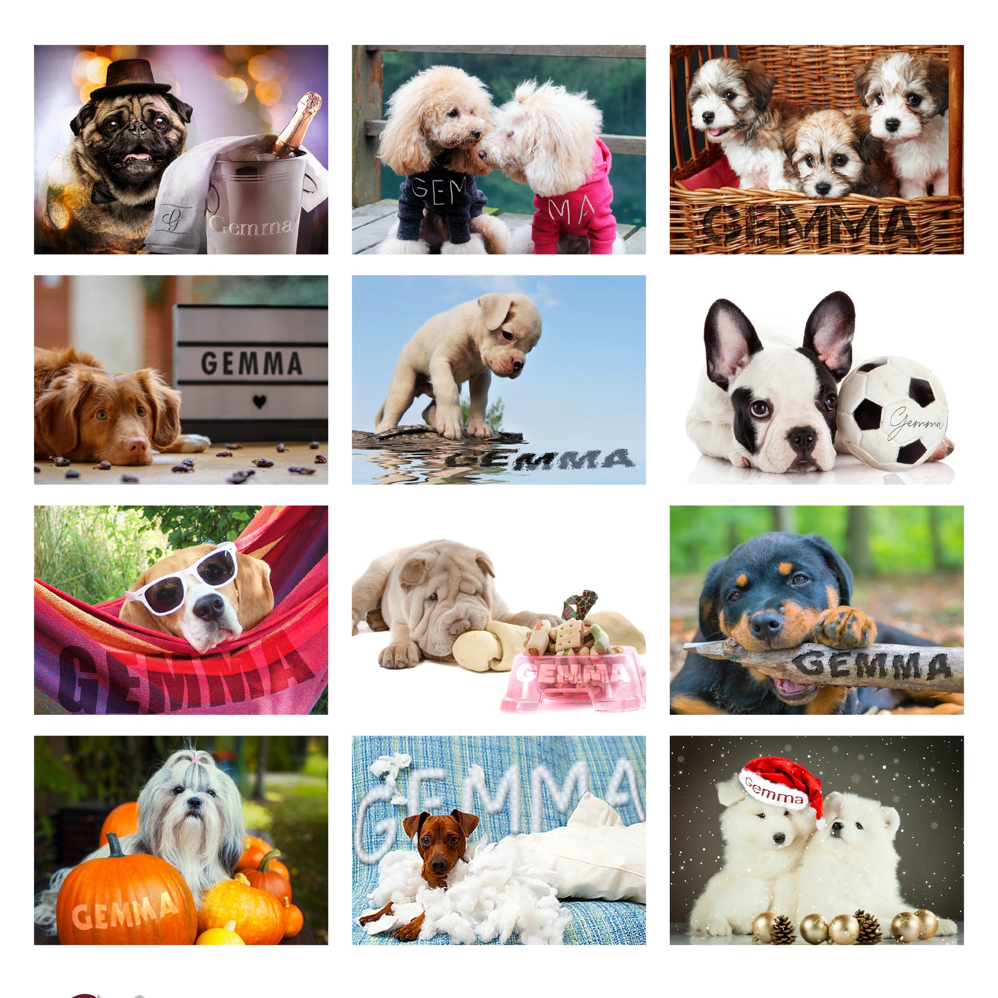 Personalised Barking Mad Dog Desk Calendar - MK&JD Gifts