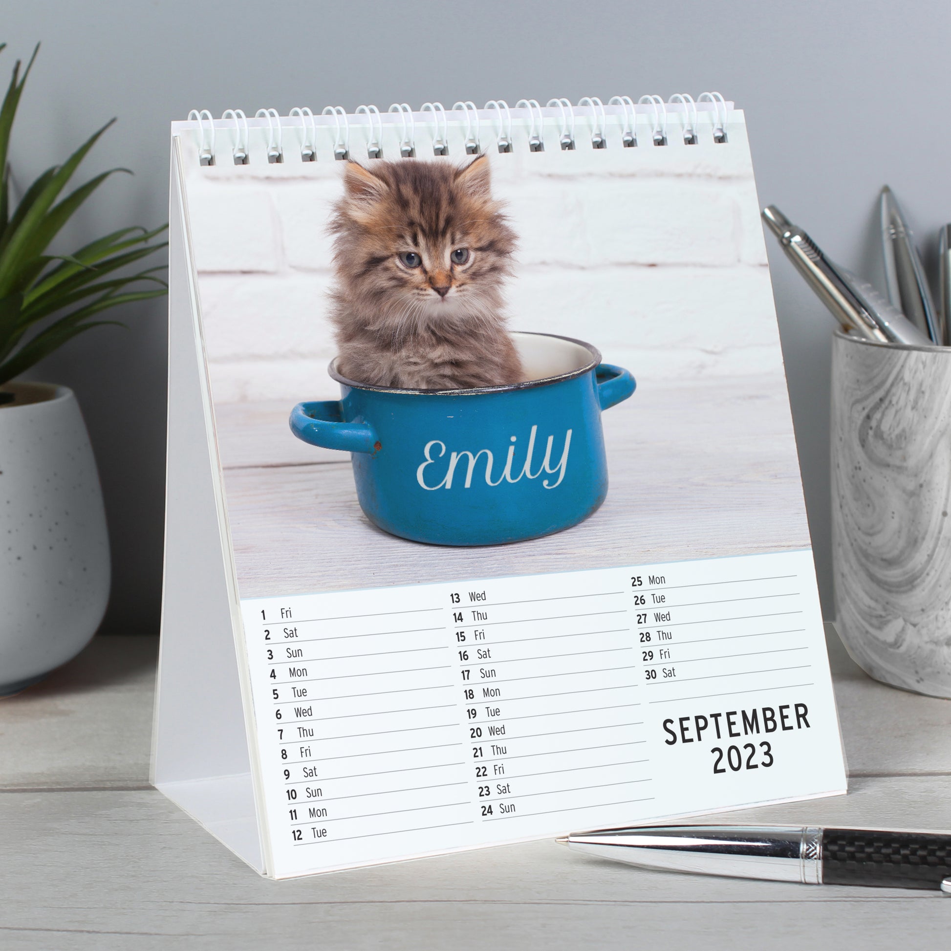 Personalised Cats and Kittens Desk Calendar - MK&JD Gifts