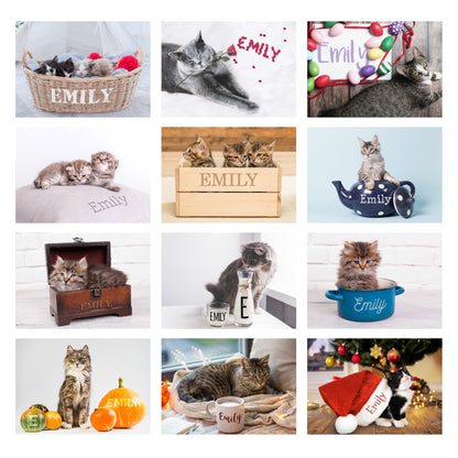Personalised Cats and Kittens Desk Calendar - MK&JD Gifts