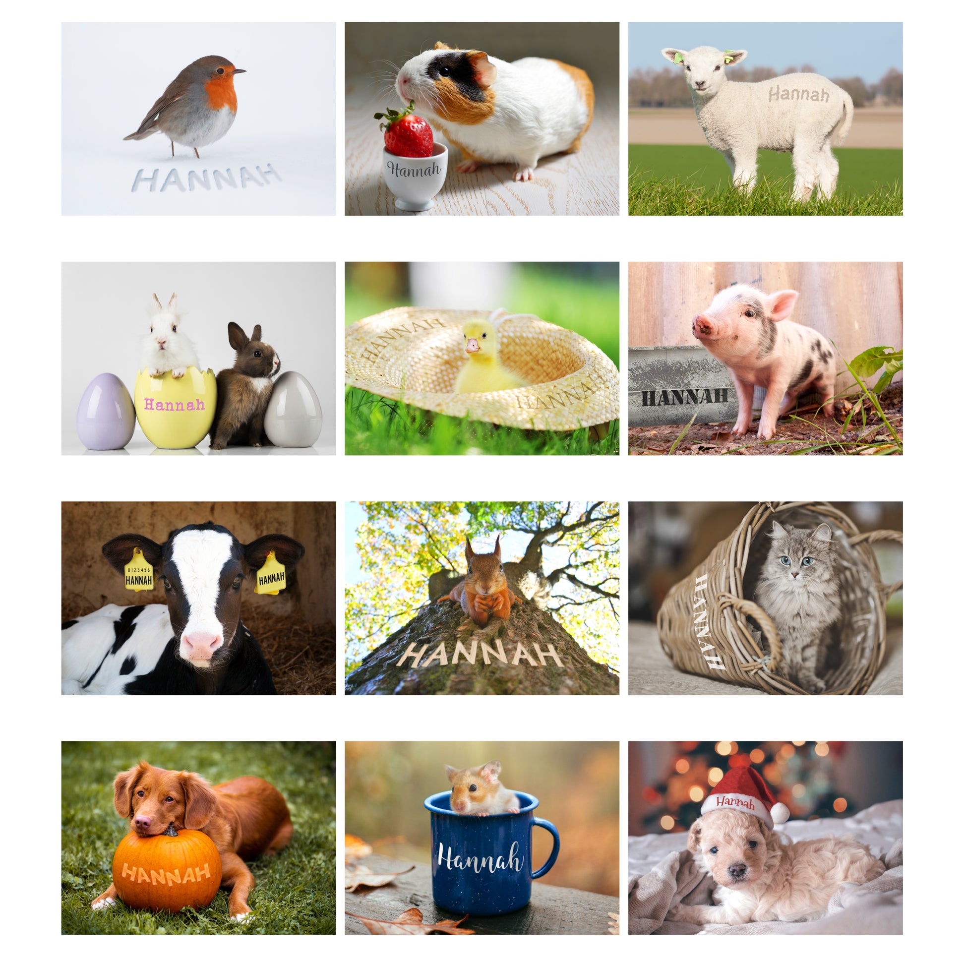 Personalised A4 Cute Animals Calendar - MK&JD Gifts