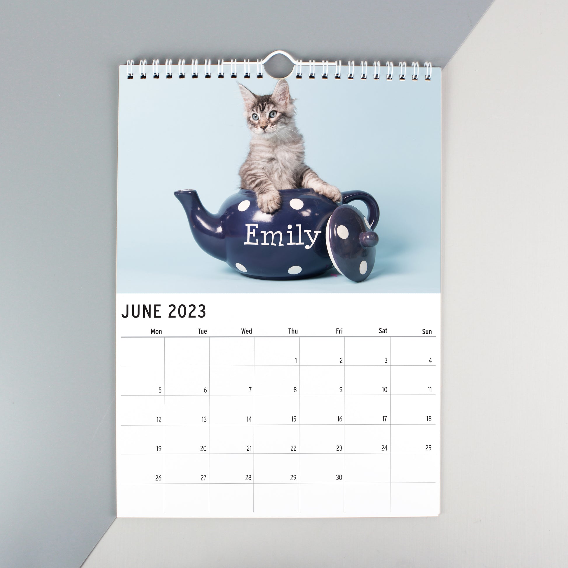 Personalised A4 Cats & Kittens Calendar - MK&JD Gifts