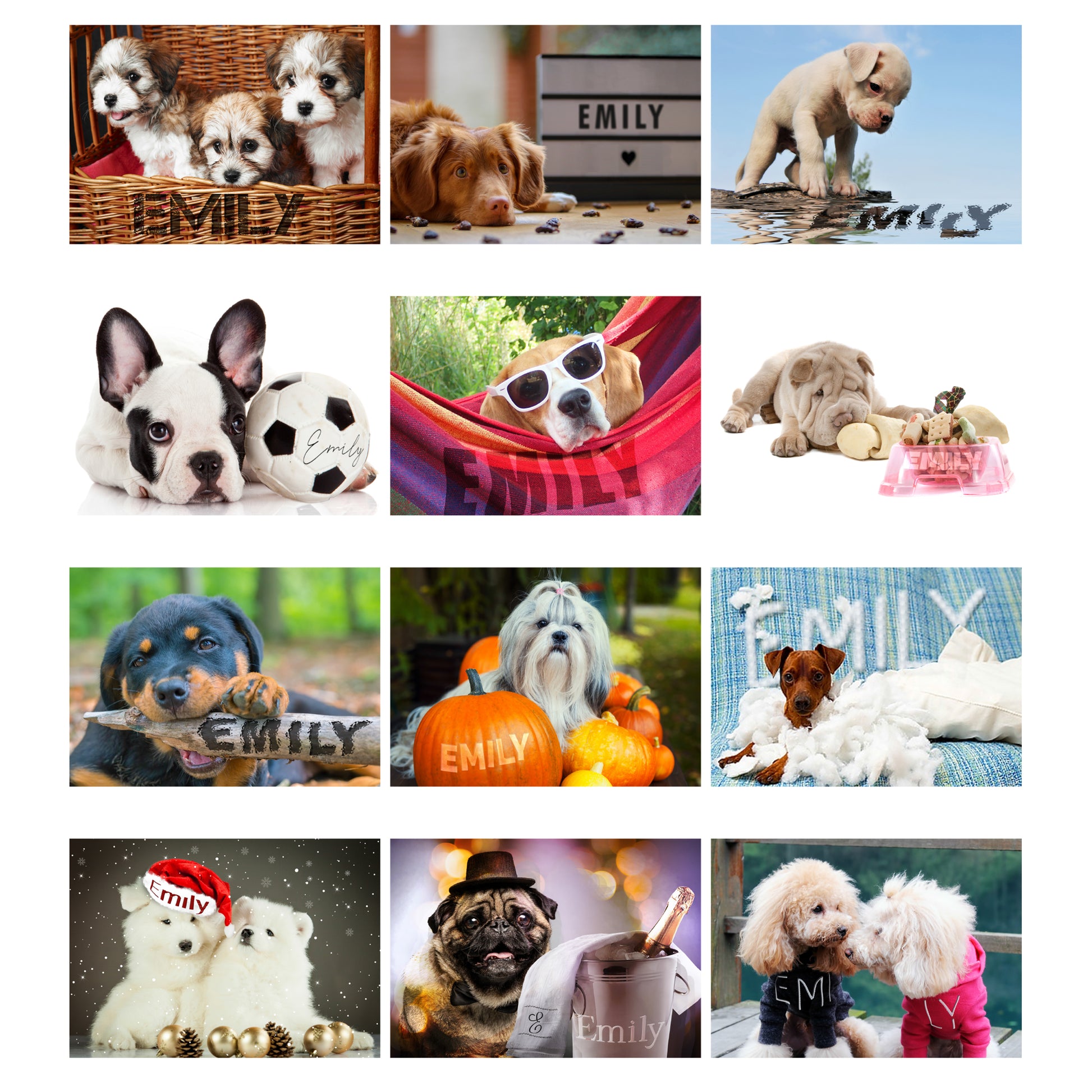 Personalised A4 Barking Mad Calendar - MK&JD Gifts