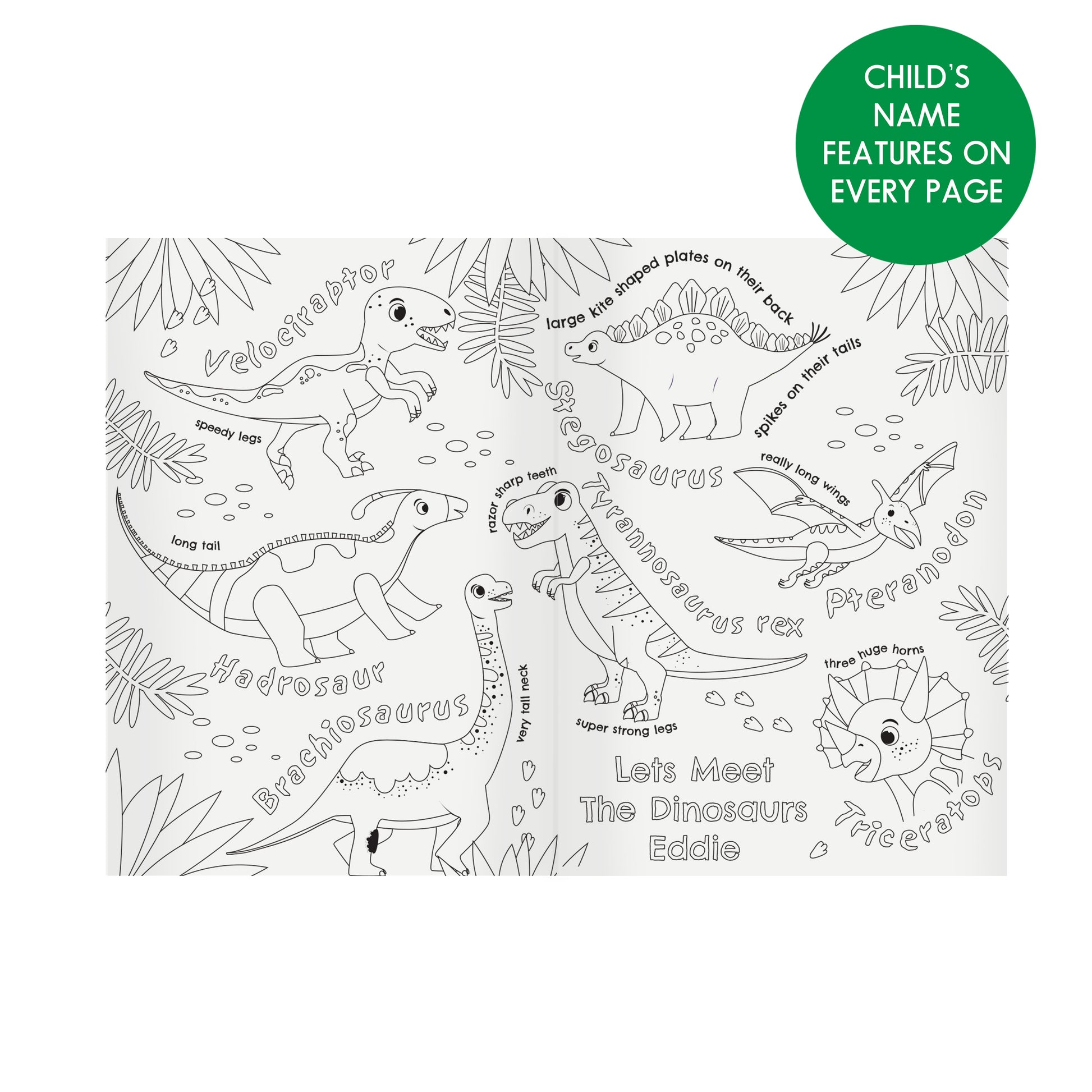 Personalised Dinosaur Colouring Book - MK&JD Gifts