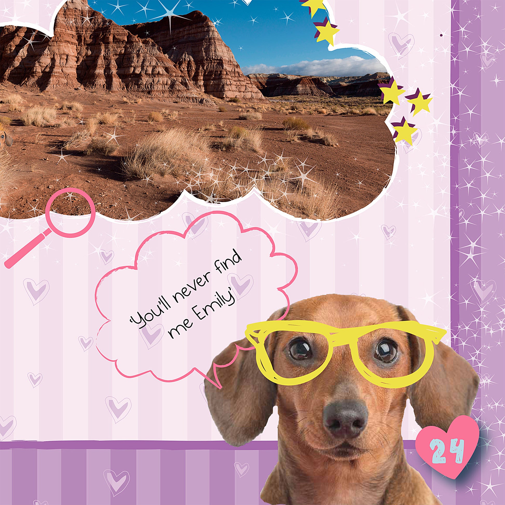 Personalised Rachael Hale Adorable Animals Activity Book With Stickers - MK&JD Gifts