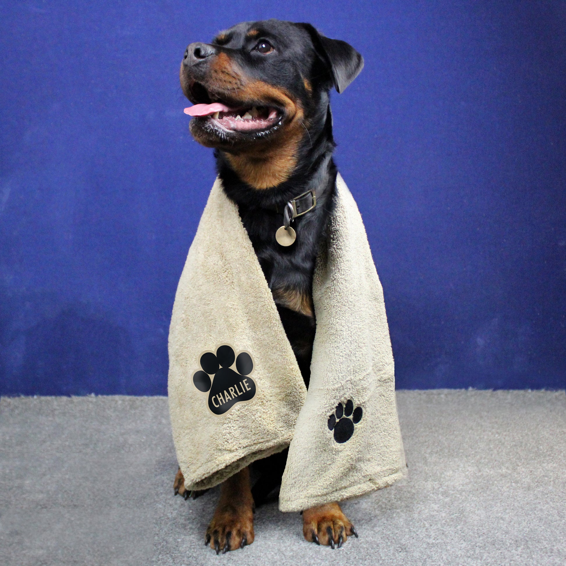 Personalised Paw Print Brown Microfibre Pet Towel - MK&JD Gifts