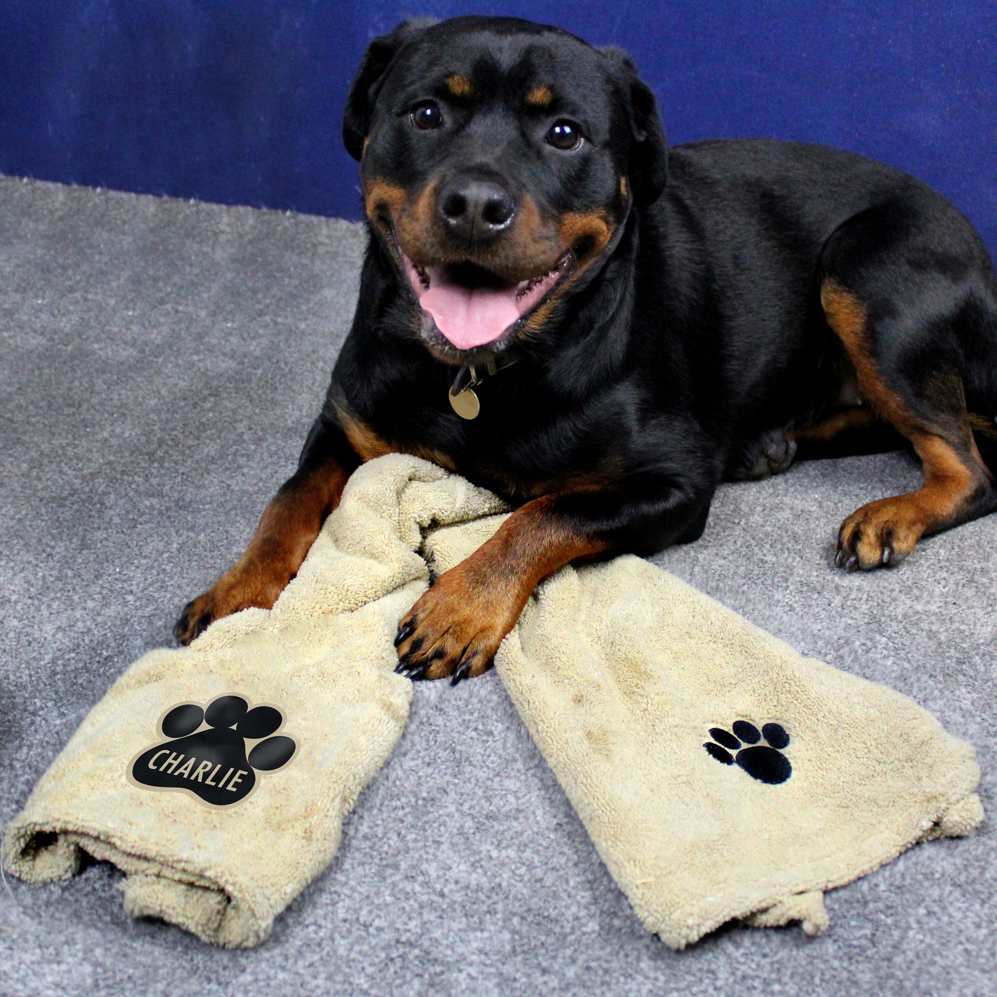 Personalised Paw Print Brown Microfibre Pet Towel - MK&JD Gifts