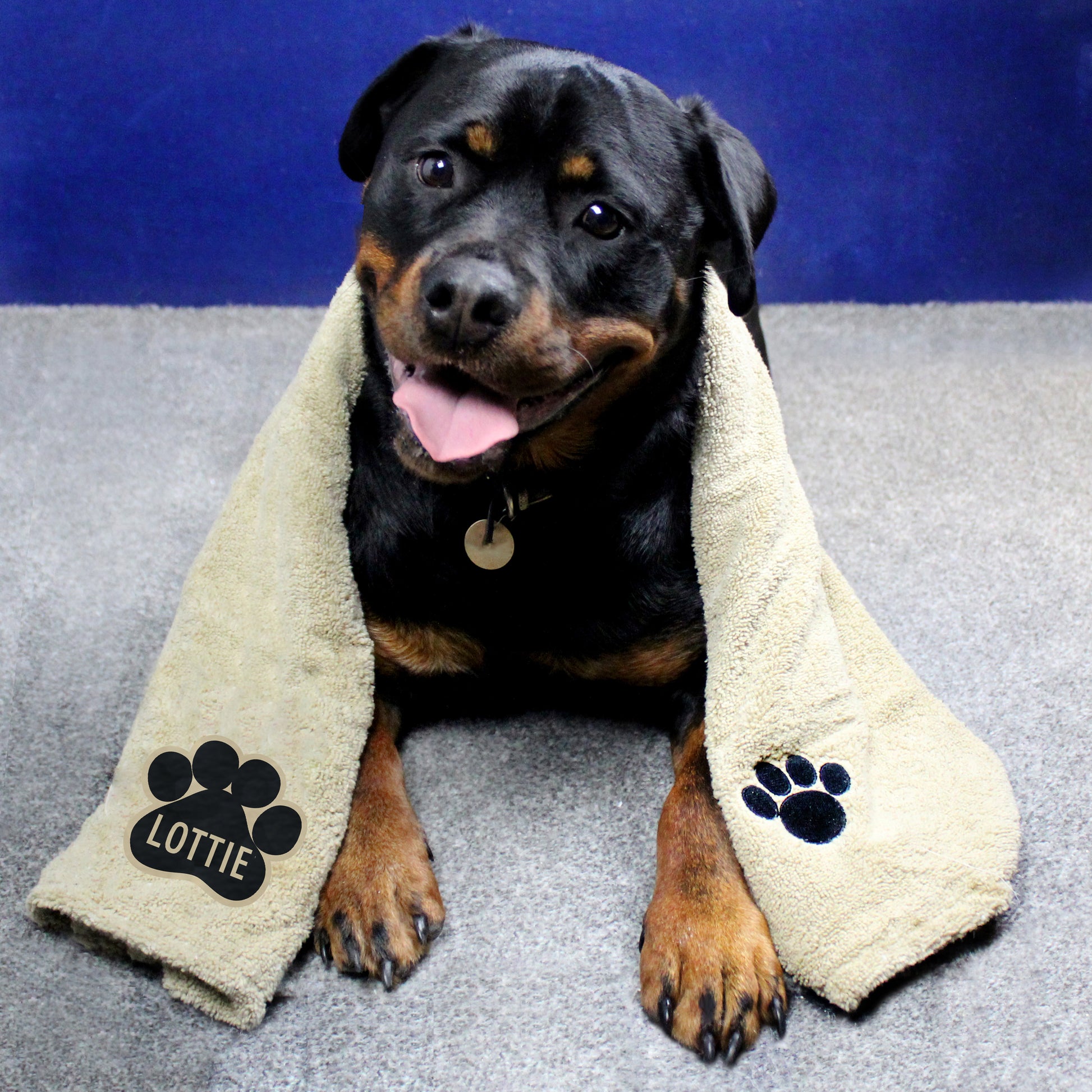 Personalised Paw Print Brown Microfibre Pet Towel - MK&JD Gifts