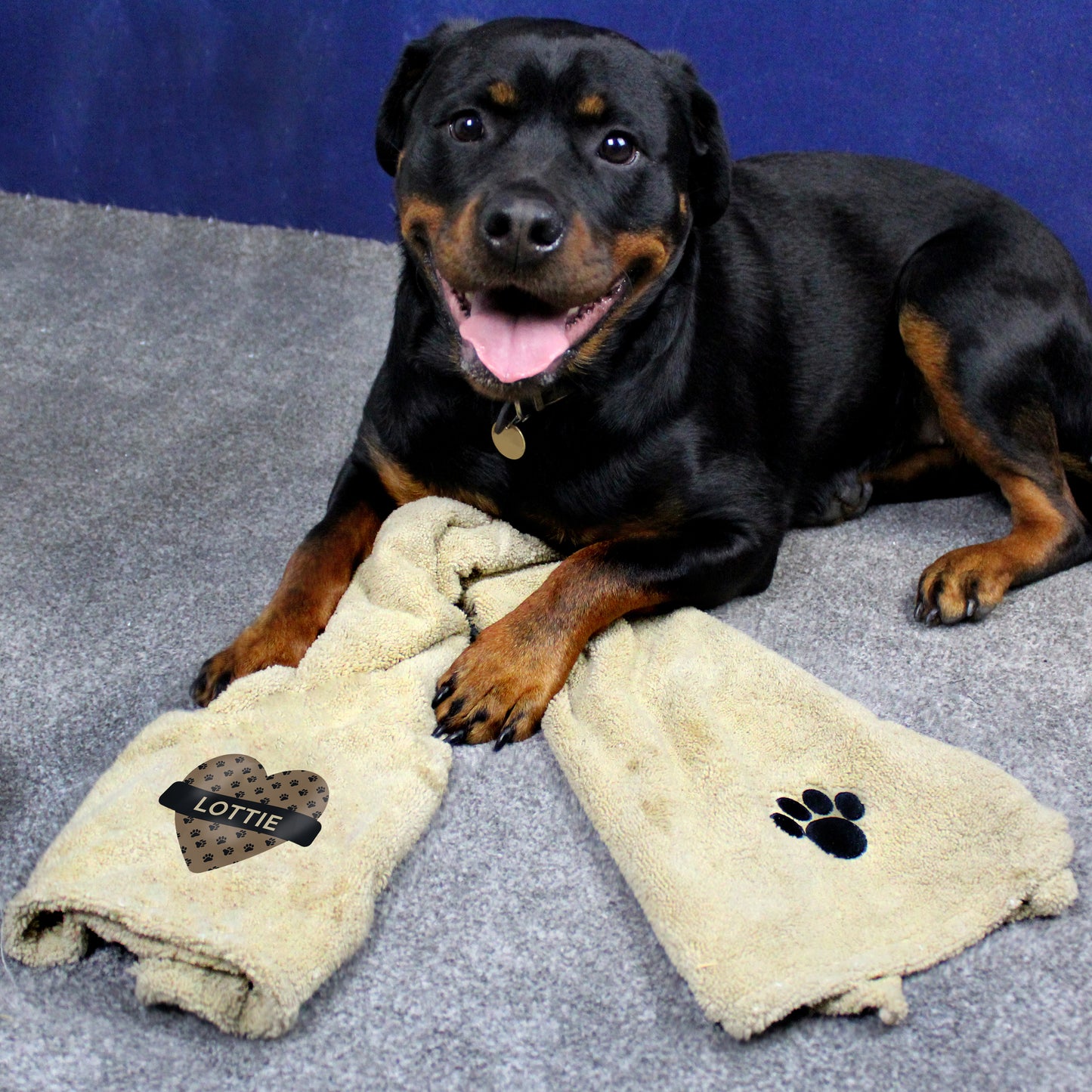 Personalised Heart Brown Microfibre Pet Towel - MK&JD Gifts