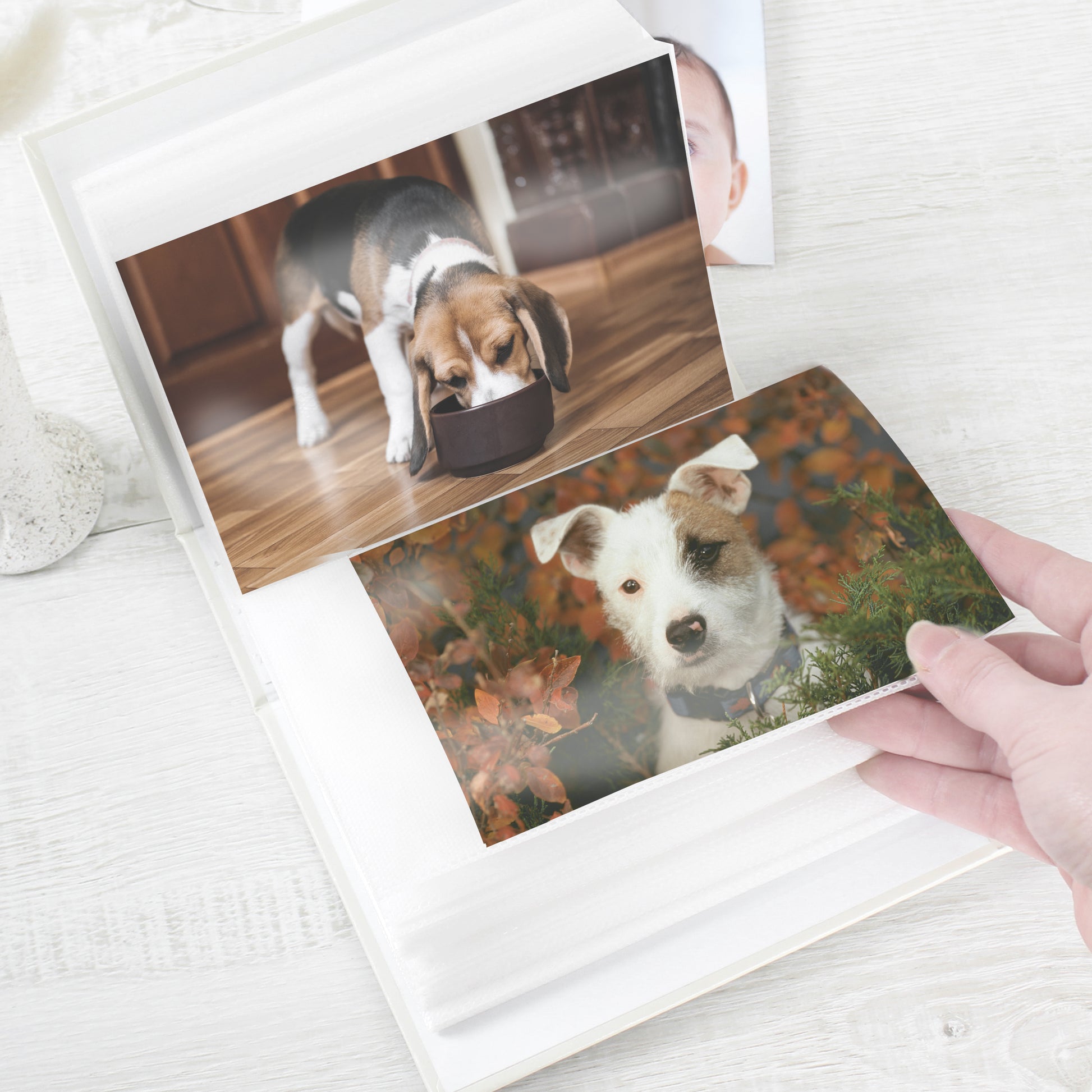 Personalised Dogs 6x4 Photo Album with Sleeves - MK&JD Gifts