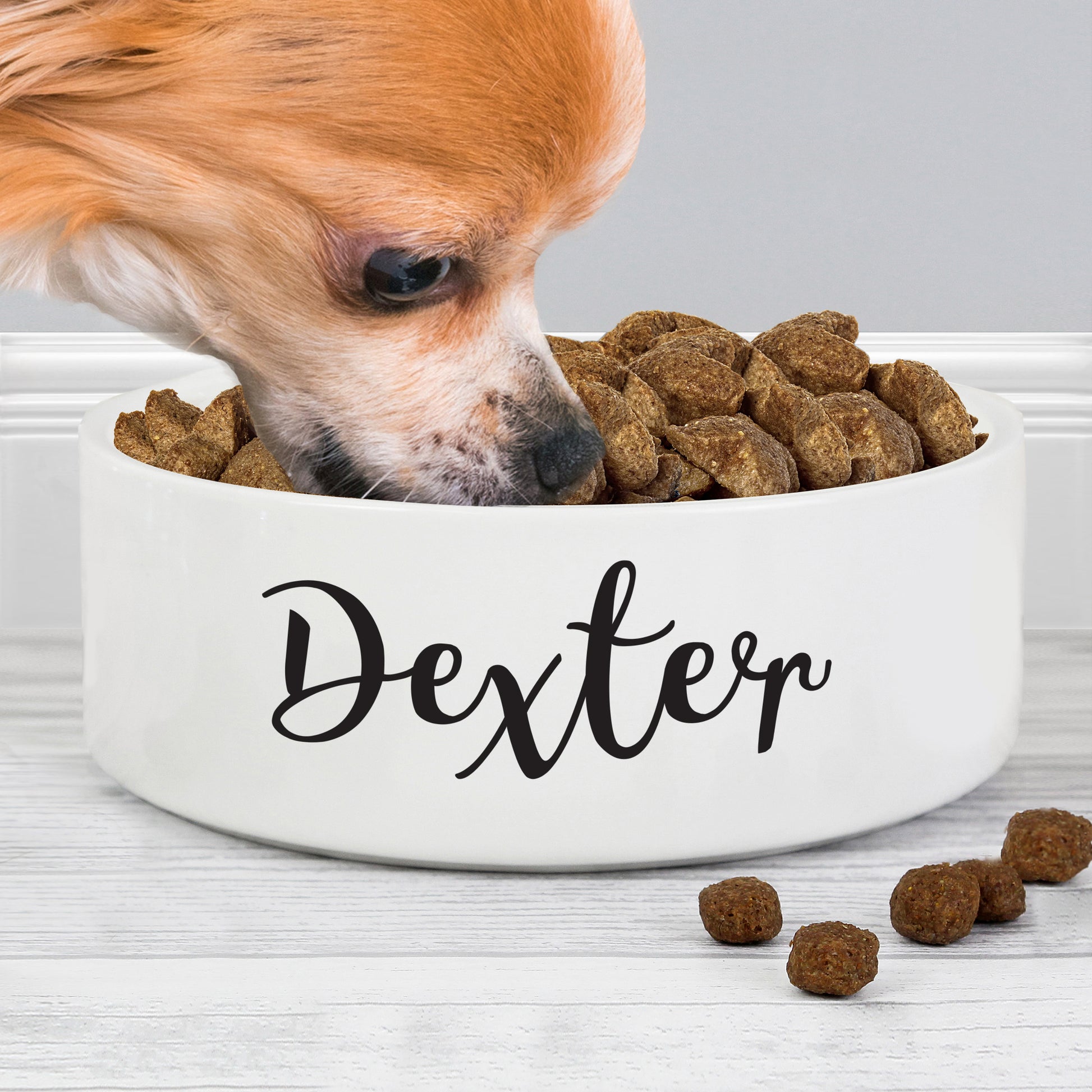 Personalised Any Name 14cm Medium White Pet Bowl - MK&JD Gifts