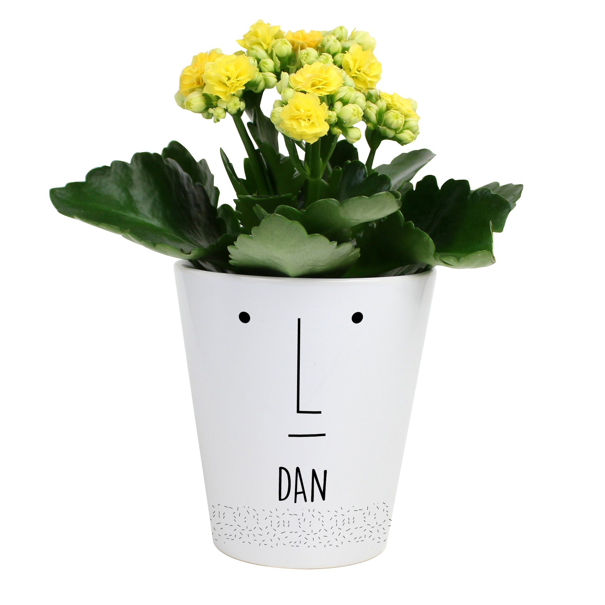 Personalised 'Mr Face' Plant Pot - MK&JD Gifts