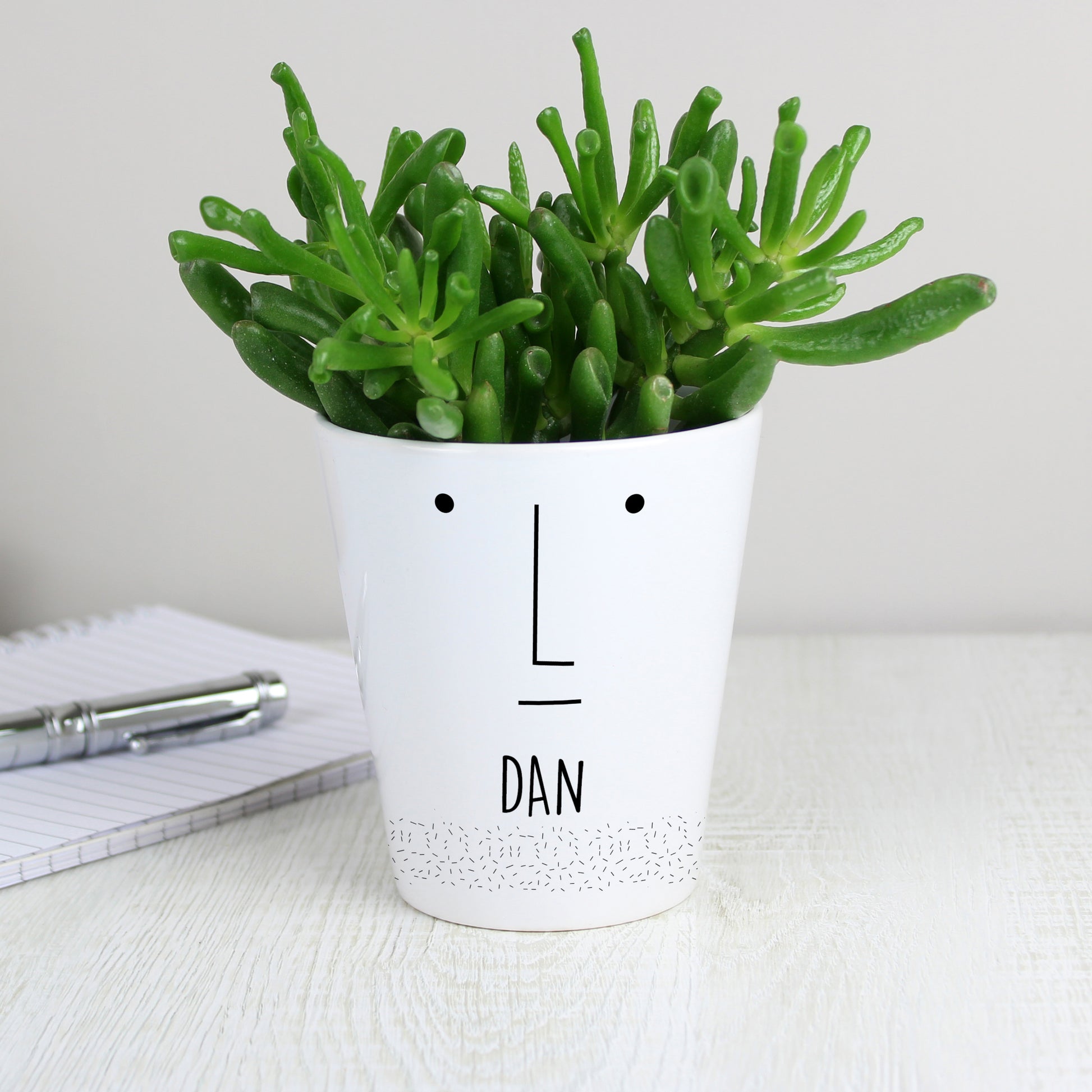 Personalised 'Mr Face' Plant Pot - MK&JD Gifts