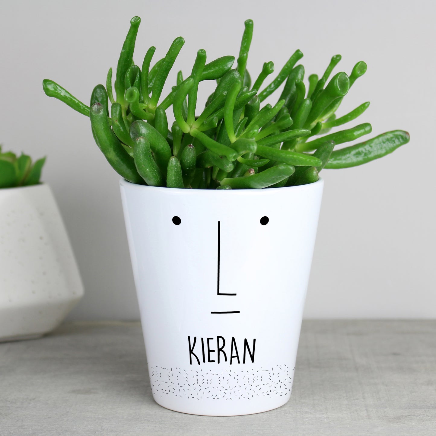 Personalised 'Mr Face' Plant Pot - MK&JD Gifts