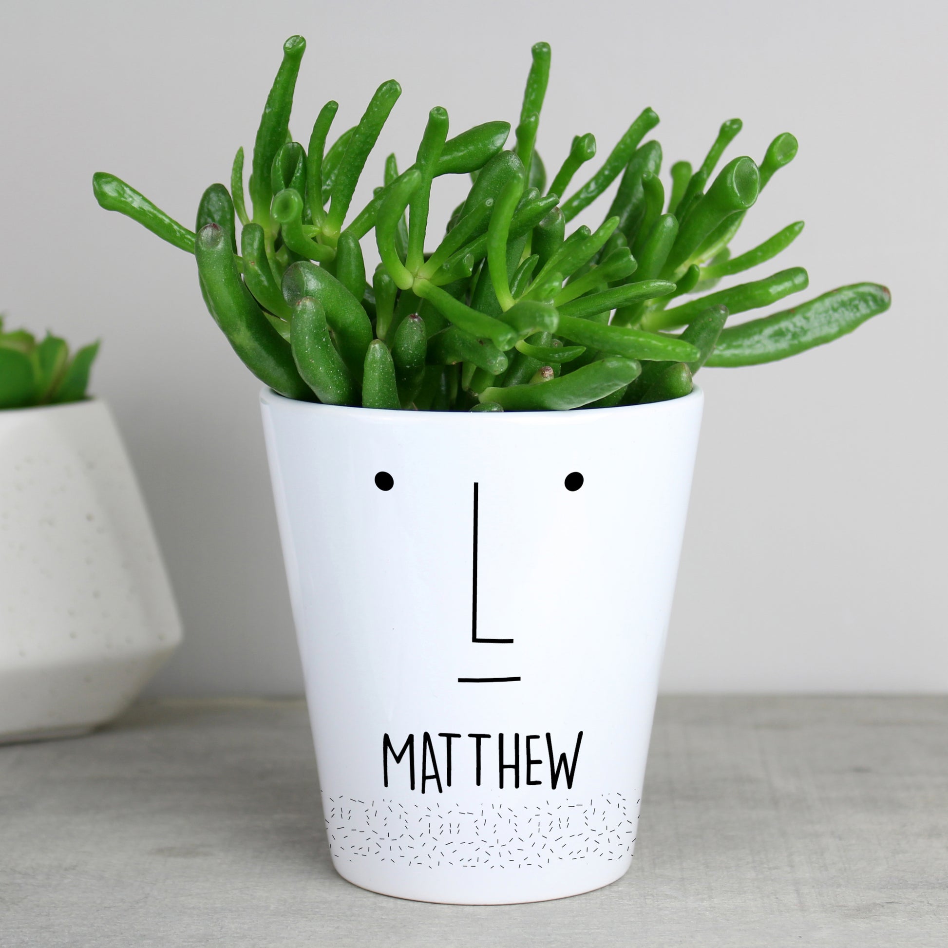 Personalised 'Mr Face' Plant Pot - MK&JD Gifts