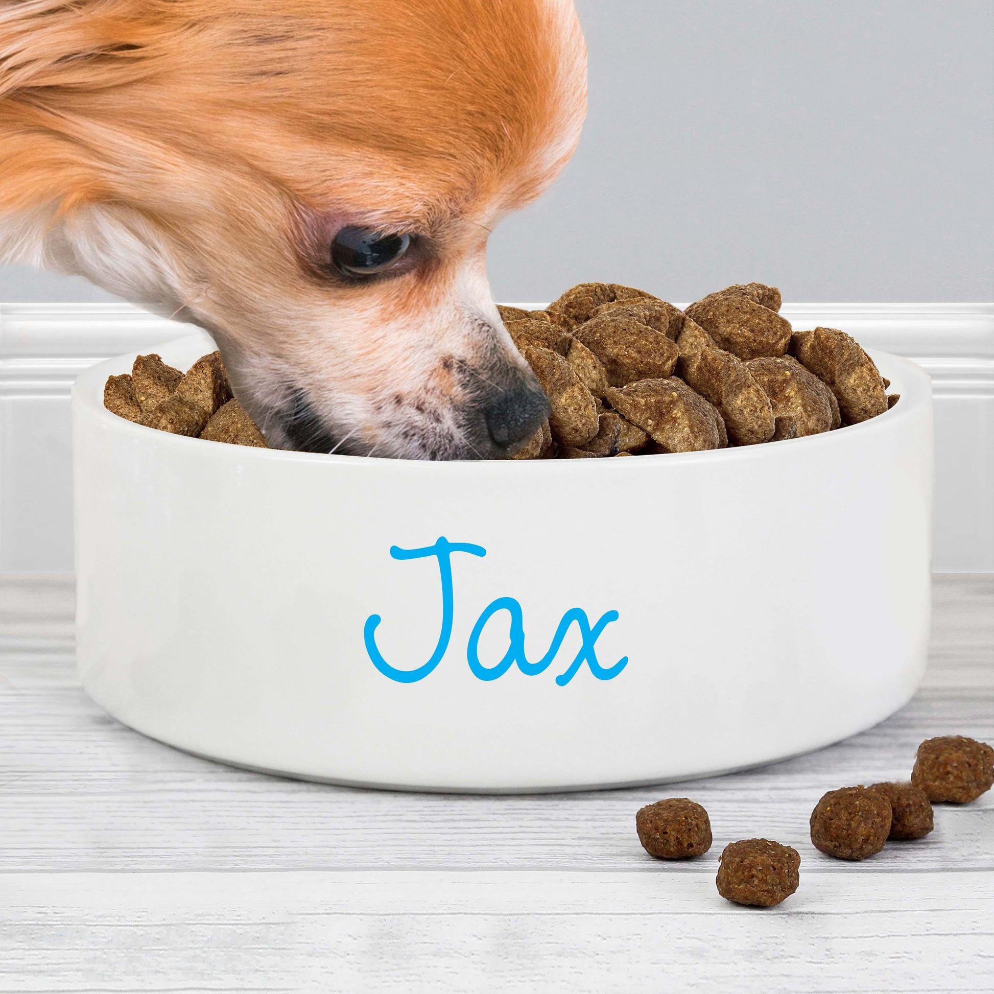 Personalised Blue Name 14cm Medium Pet Bowl - MK&JD Gifts