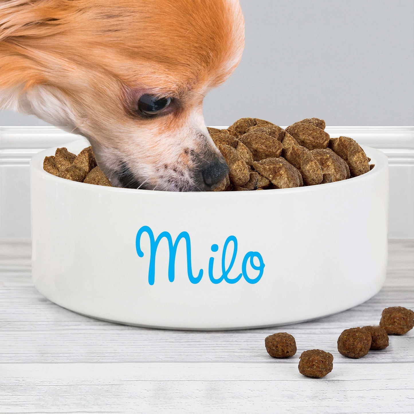 Personalised Blue Name 14cm Medium Pet Bowl - MK&JD Gifts