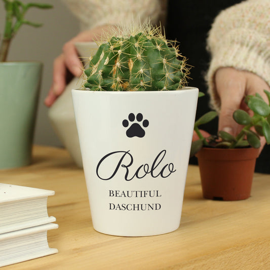 Personalised Paw Print Plant Pot - MK&JD Gifts