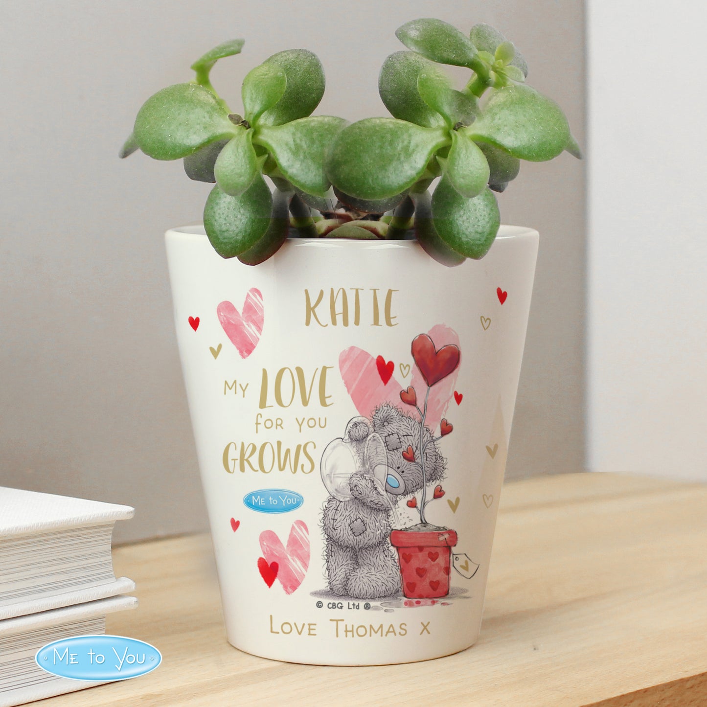 Personalised Me To You Love Grows Plant Pot - MK&JD Gifts