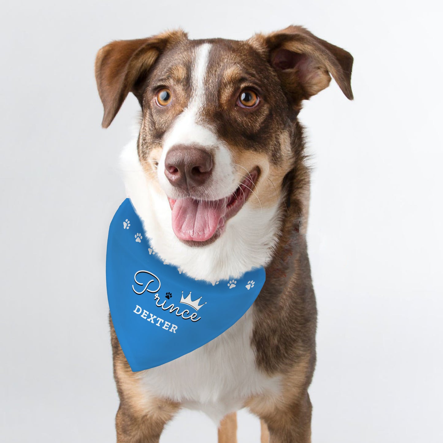 Personalised Prince Dog Bandana - MK&JD Gifts
