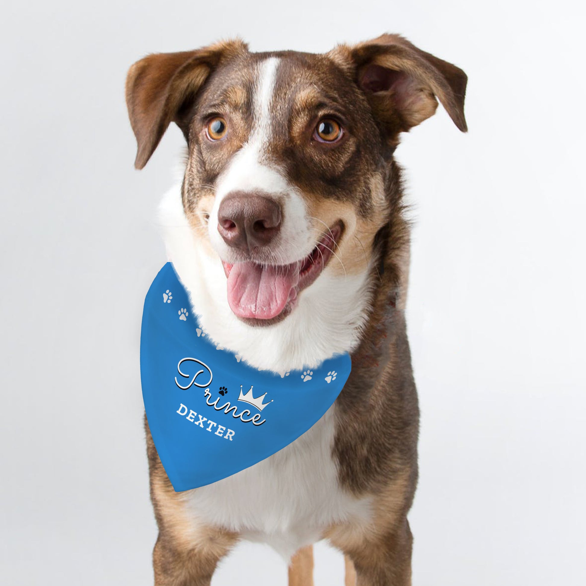 Personalised Prince Dog Bandana - MK&JD Gifts