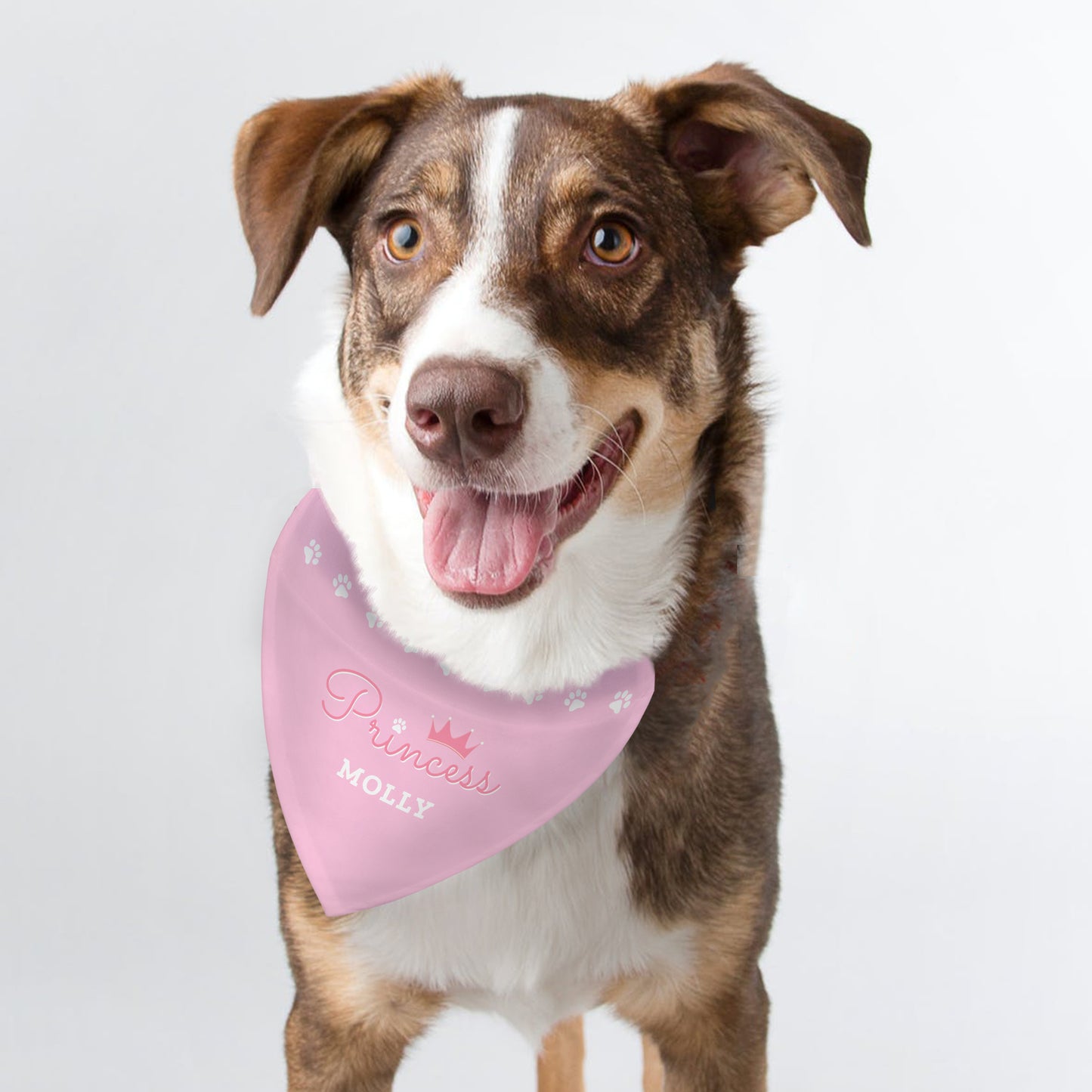 Personalised Princess Dog Bandana - MK&JD Gifts
