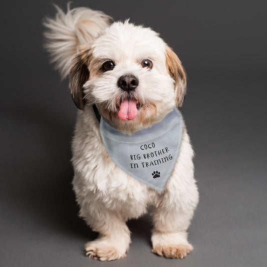 Personalised Dog Bandana - MK&JD Gifts