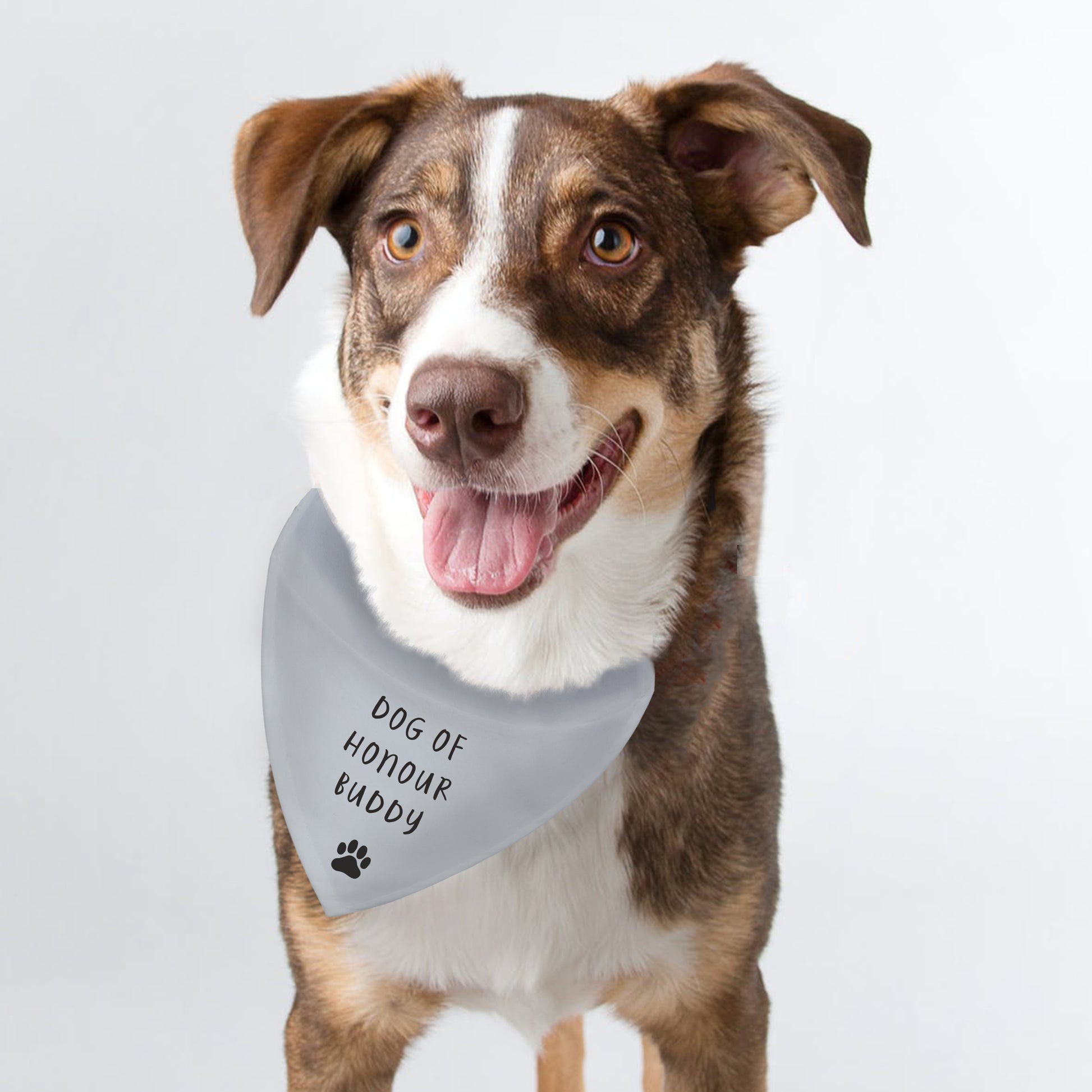 Personalised Dog Bandana - MK&JD Gifts