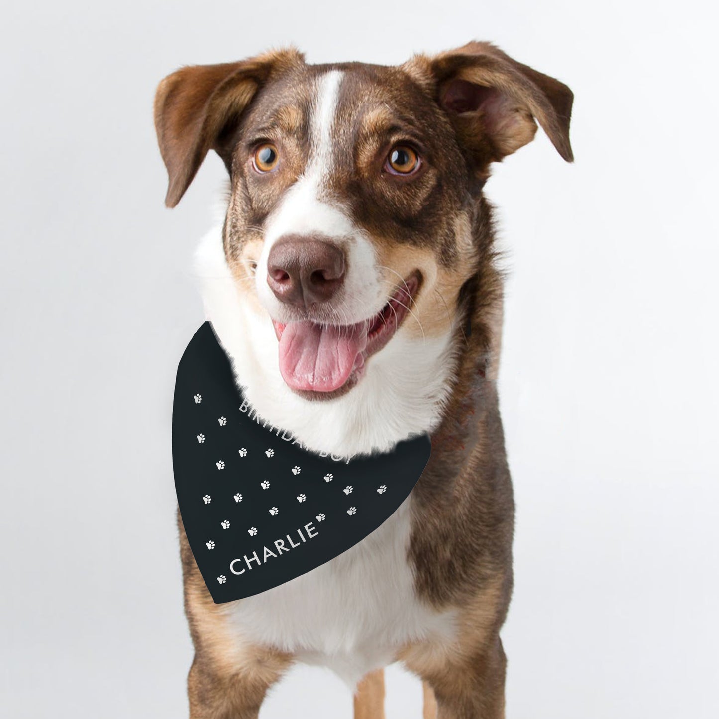 Personalised Paw Print Dog Bandana - MK&JD Gifts